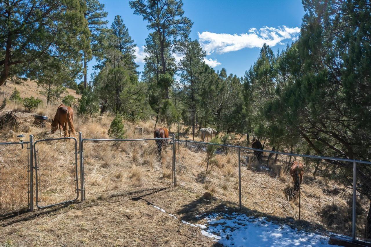 Howl At The Moon Villa Ruidoso Eksteriør billede